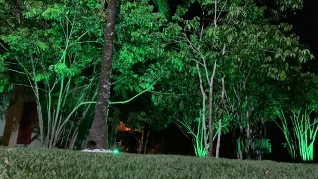 Bons Ventos Camping E Glamping Barra Grande  Buitenkant foto